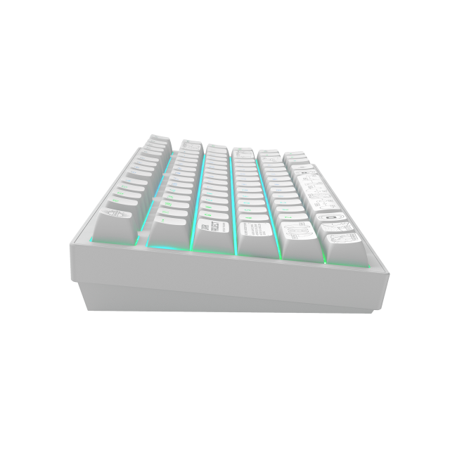 Gaming Wireless Mechanical Keyboard Dark Project ALU81A Terra Nova R2 White RGB 