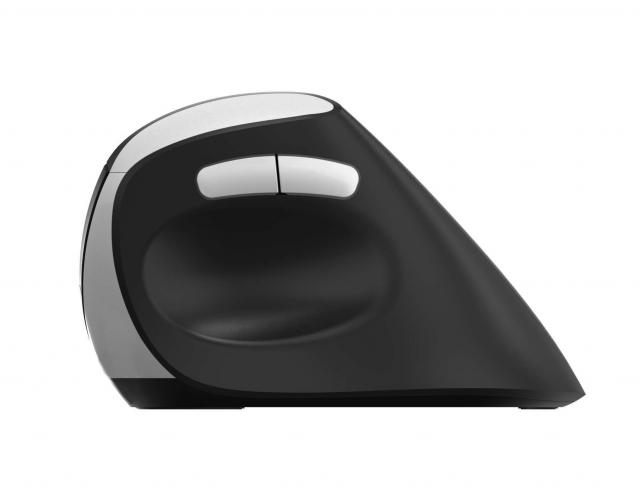 Wireless Ergonomic Mouse RAPOO EV250 