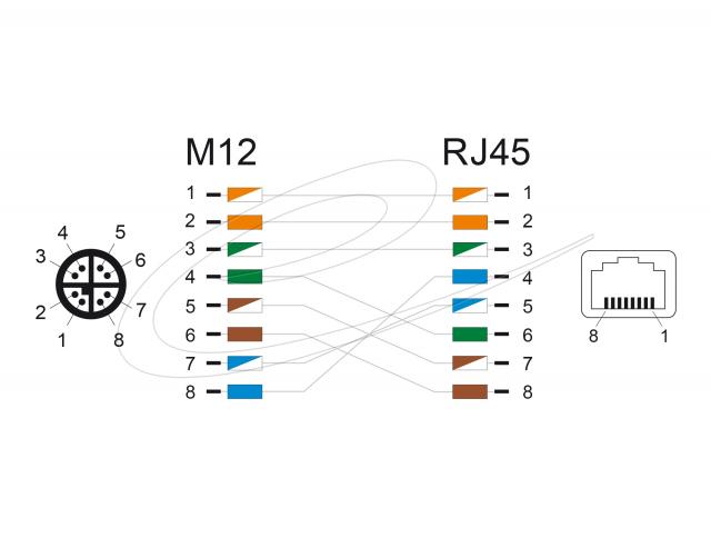 Adapter Delock X-coded 8 pin male to RJ45 jack straight 