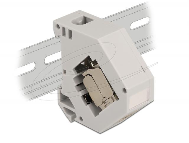 Delock DIN rail Adapter with Keystone Module RJ45 jack Cat.6A LSA 