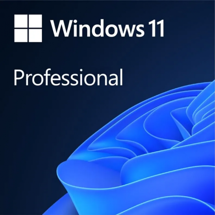 Софтуер MS Windows Pro 11 ESD 64-bit All lang Downloadable