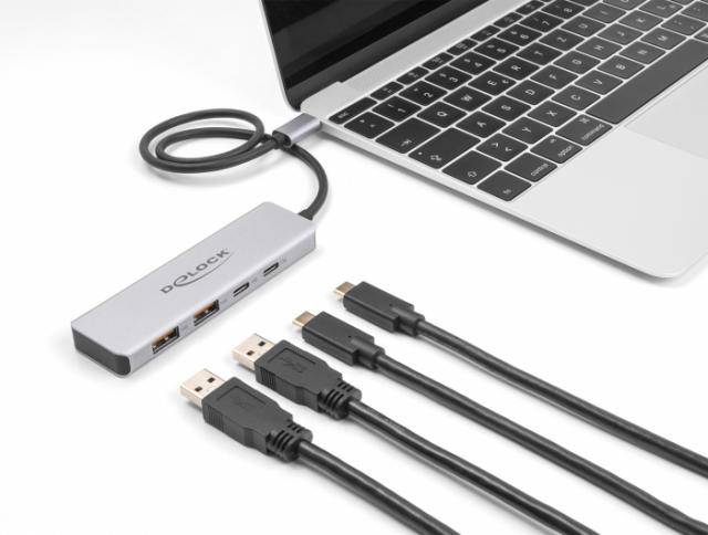 USB хъб Delock 64230, USB-C - 2 x USB-C, 2 x USB-A, 10 Gbps 