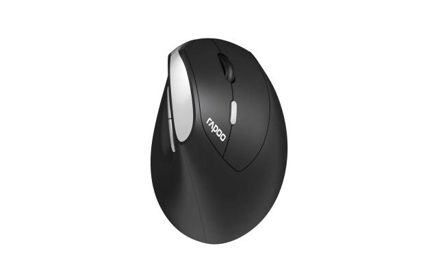 Wireless Ergonomic Mouse RAPOO EV250 