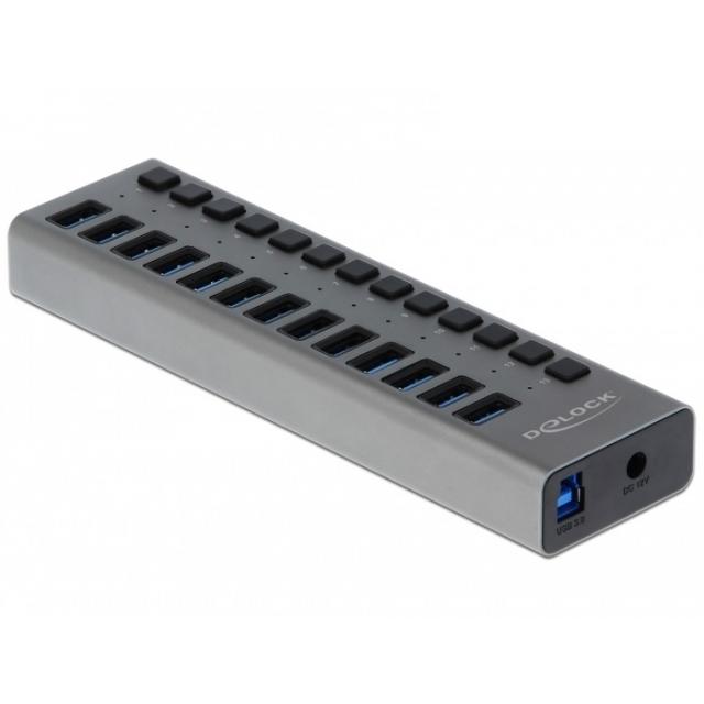 Delock External SuperSpeed USB Hub with 13 Ports + Switch