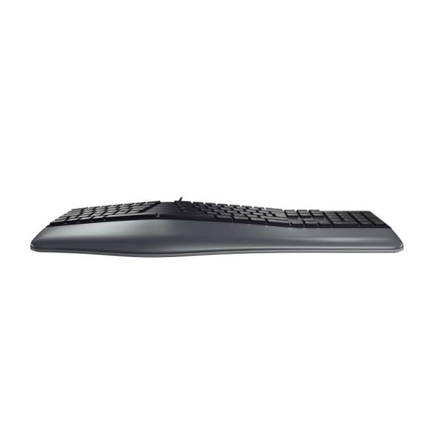 Classic keyboard CHERRY KC 4500 ERGO 