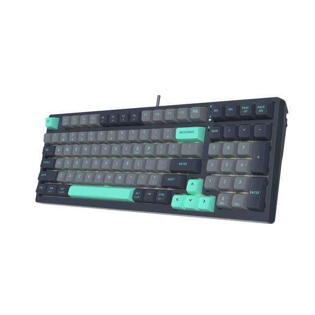 A4tech Fstyler FGS300 Panda Rock Механична TKLкирилизирана 