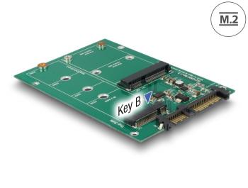 Delock Converter SATA 22 pin > 1 x M.2 + 1 x mSATA