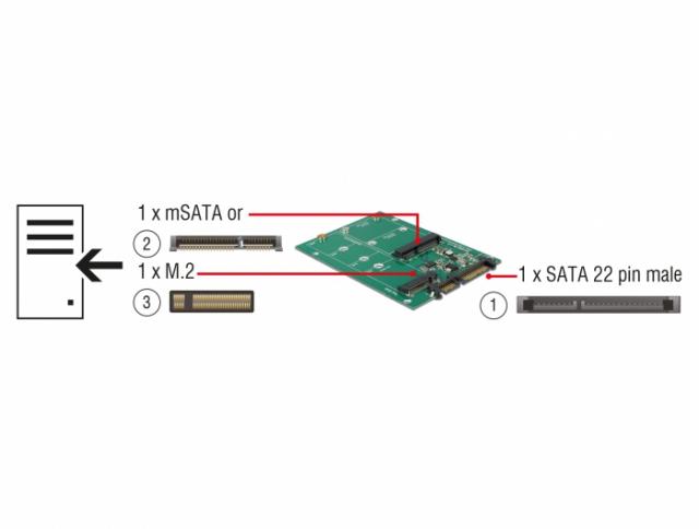 Delock Converter SATA 22 pin > 1 x M.2 + 1 x mSATA 