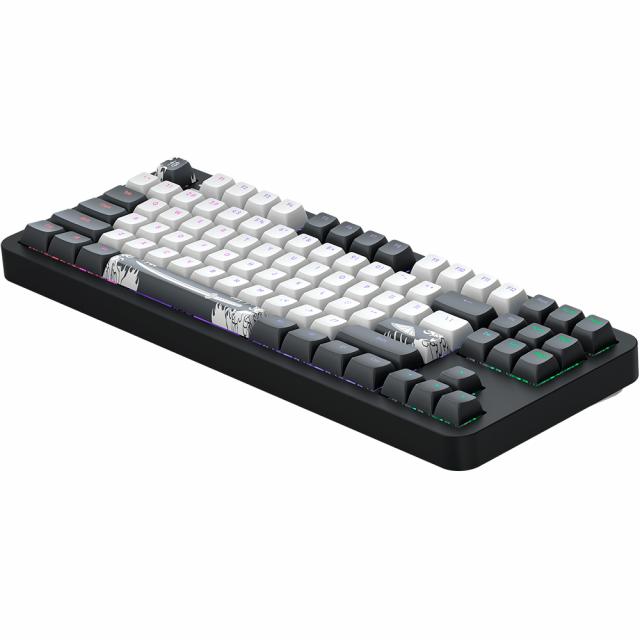 Gaming Mechanical Keyboard  Dark Project ALU87B Bushido RGB 