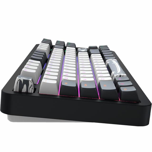 Gaming Mechanical Keyboard  Dark Project ALU87B Bushido RGB 