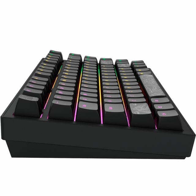 Gaming Mechanical Keyboard Dark Project ALU81A Terra Nostra Black RGB 