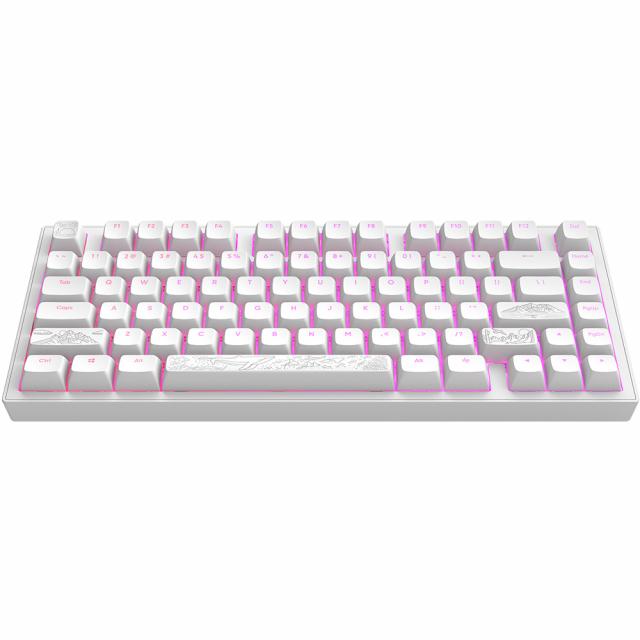 Gaming Mechanical Keyboard Dark Project ALU81A Terra Nostra White RGB 