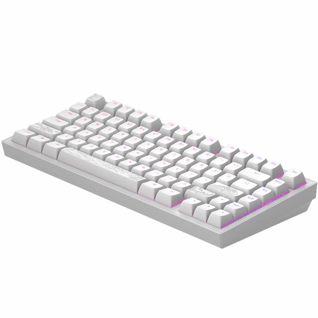 Gaming Mechanical Keyboard Dark Project ALU81A Terra Nostra White RGB 