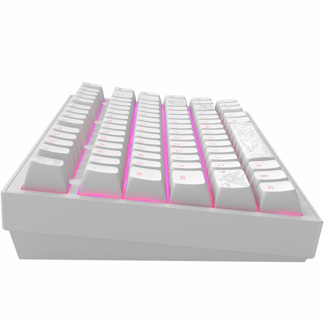 Gaming Mechanical Keyboard Dark Project ALU81A Terra Nostra White RGB 