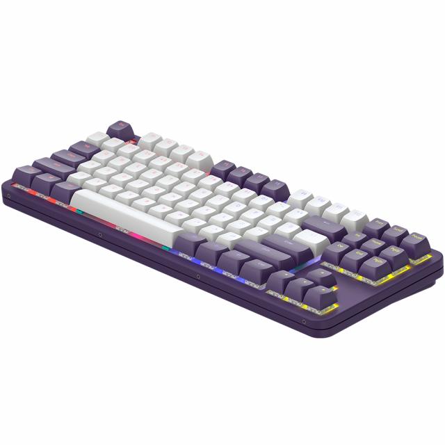 Gaming Mechanical Keyboard Dark Project ALU87A Violet RGB - TKL 
