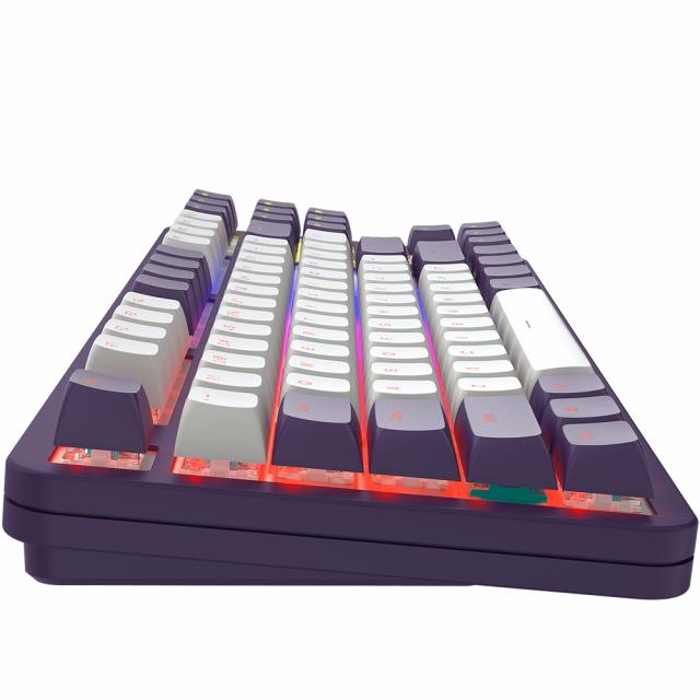 Gaming Mechanical Keyboard Dark Project ALU87A Violet RGB - TKL 