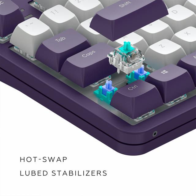 Gaming Mechanical Keyboard Dark Project ALU87A Violet RGB - TKL 