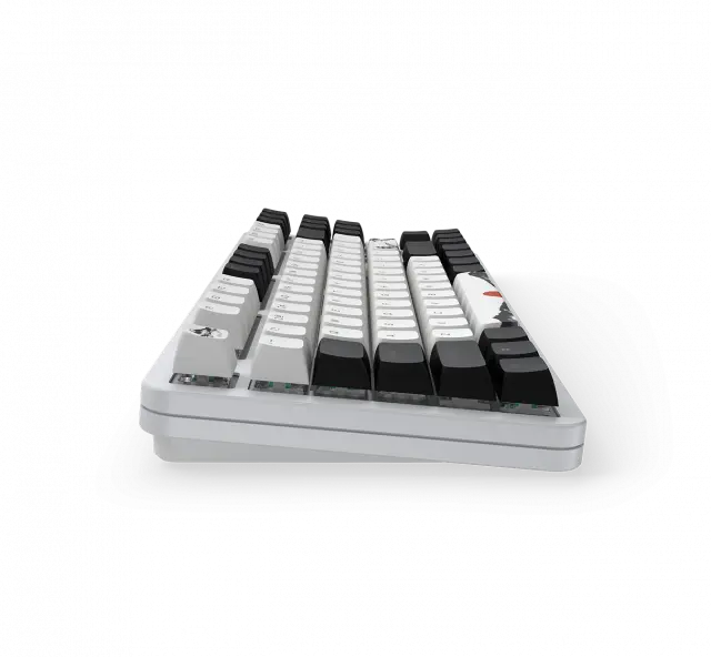 Геймърскa механична клавиатура Dark Project 87 Fuji V2 RGB TKL - G3MS Sapphire Switches, ABS 