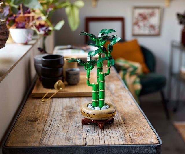 LEGO Botanicals - Lucky Bamboo, 10344 