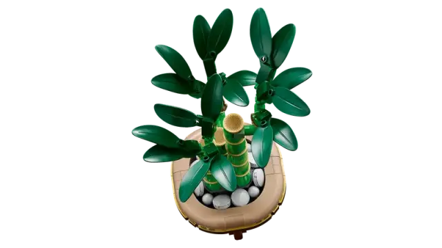 LEGO Botanicals - Lucky Bamboo, 10344 