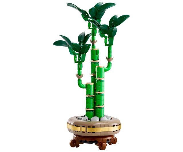 LEGO Botanicals - Lucky Bamboo, 10344 