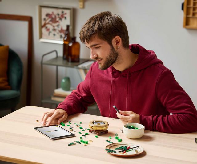 LEGO Botanicals - Lucky Bamboo, 10344 