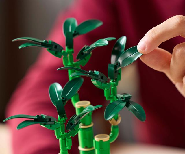 LEGO Botanicals - Lucky Bamboo, 10344 