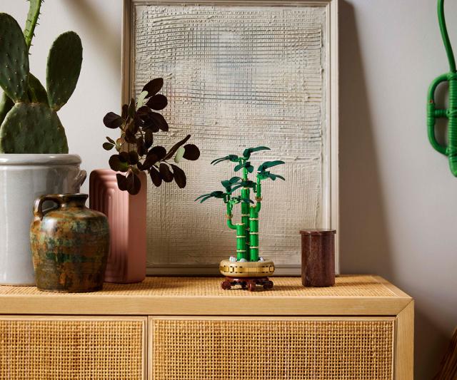 LEGO Botanicals - Lucky Bamboo, 10344 