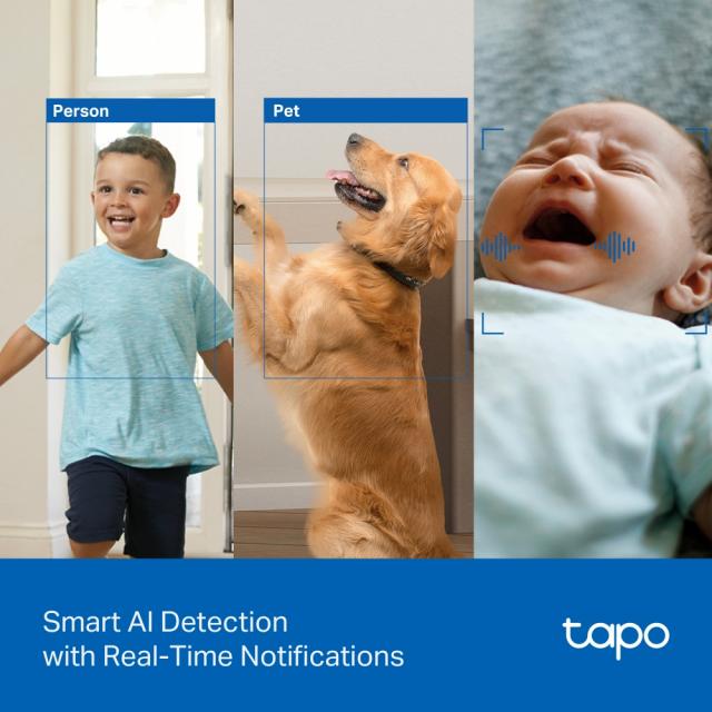 Home Security Wi-Fi Camera TP-Link Tapo C250 - Pan/Tilt 