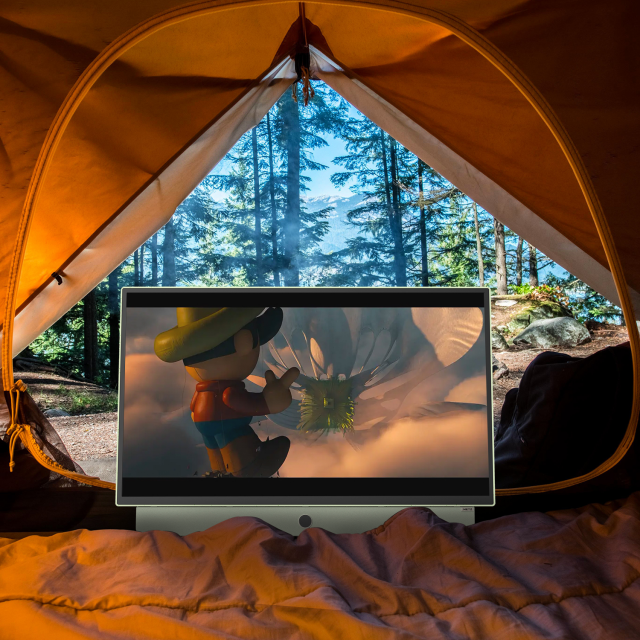 METZ Portable TV 24MPE7200Z  24" LED FHD(1920x1080) GoogleTV, HDR10, green 