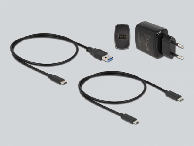 Delock Docking Station for 1 x M.2 NVMe SSD + 1 x M.2 SATA SSD with SD Express (SD 7.1) Card Reader and Clone Function 