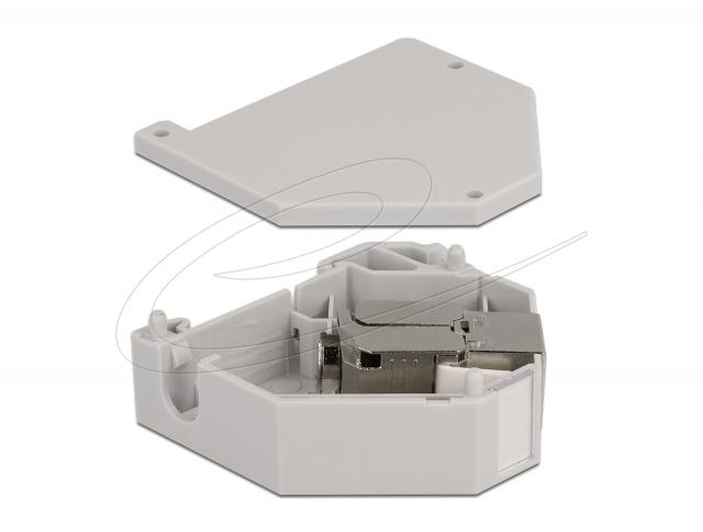 Delock DIN rail Adapter with Keystone Module RJ45 jack Cat.6A LSA 