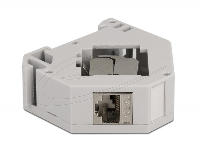Delock DIN rail Adapter with Keystone Module RJ45 jack Cat.6A LSA 
