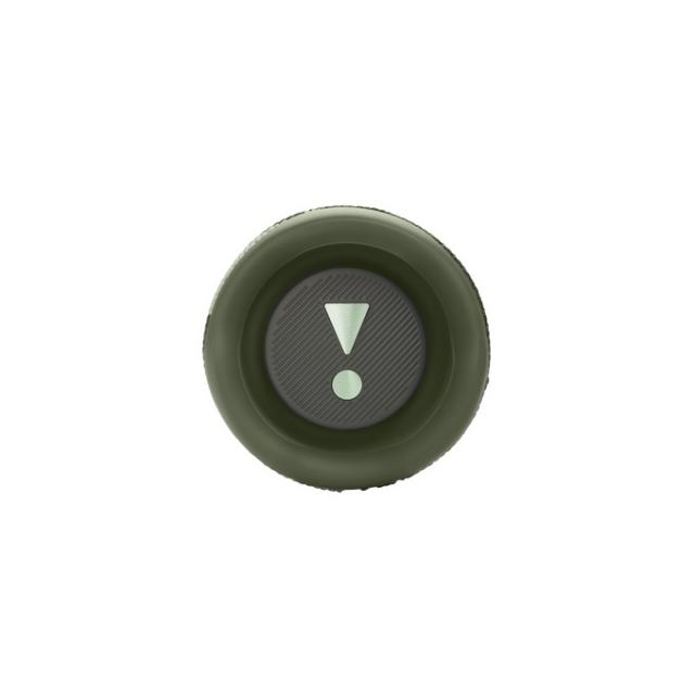 Wireless speaker JBL FLIP 6 Squad 