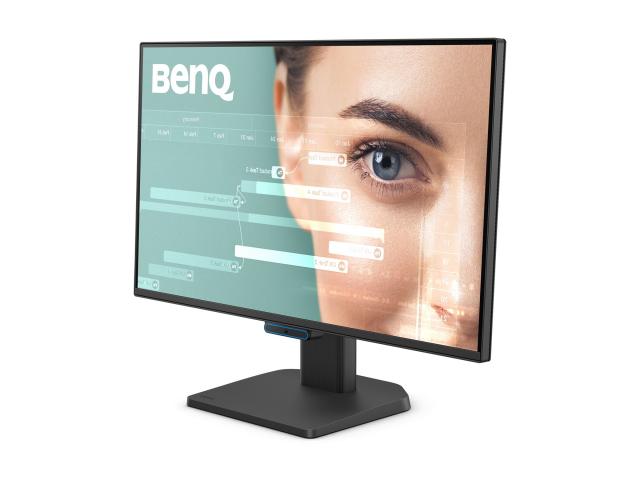 Монитор BenQ GW2490C, 24", IPS, 1920x1080, 100Hz, 99% sRGB, HDMI, DisplayPort, Speakers 