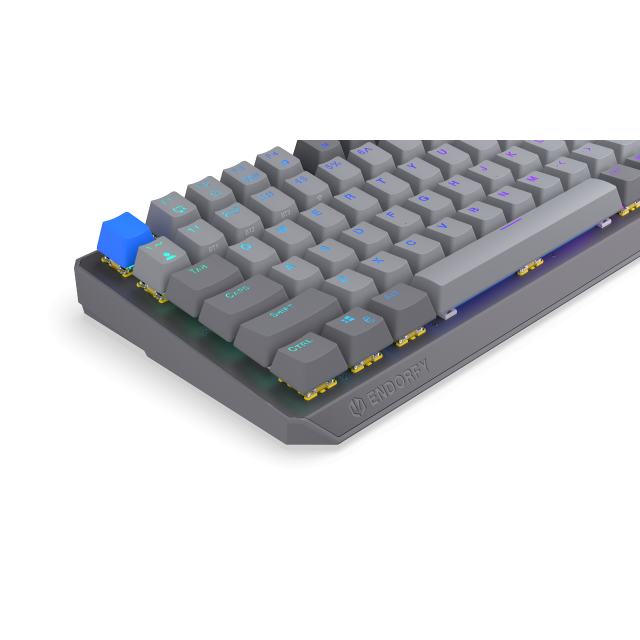 Endorfy mechanical keyboard Thock Wireless V2 75%, PBT, Endorfy Yellow switch, US Layout